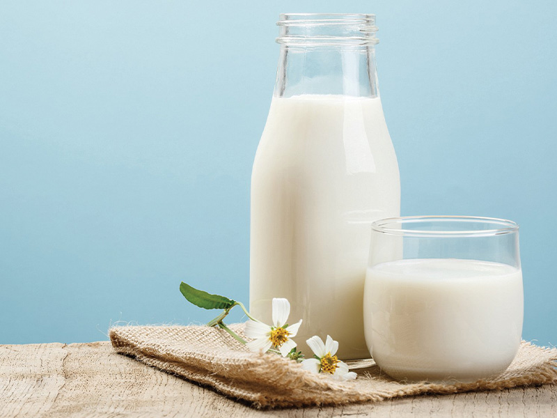 Uống sữa tươi không đường có tăng cân không